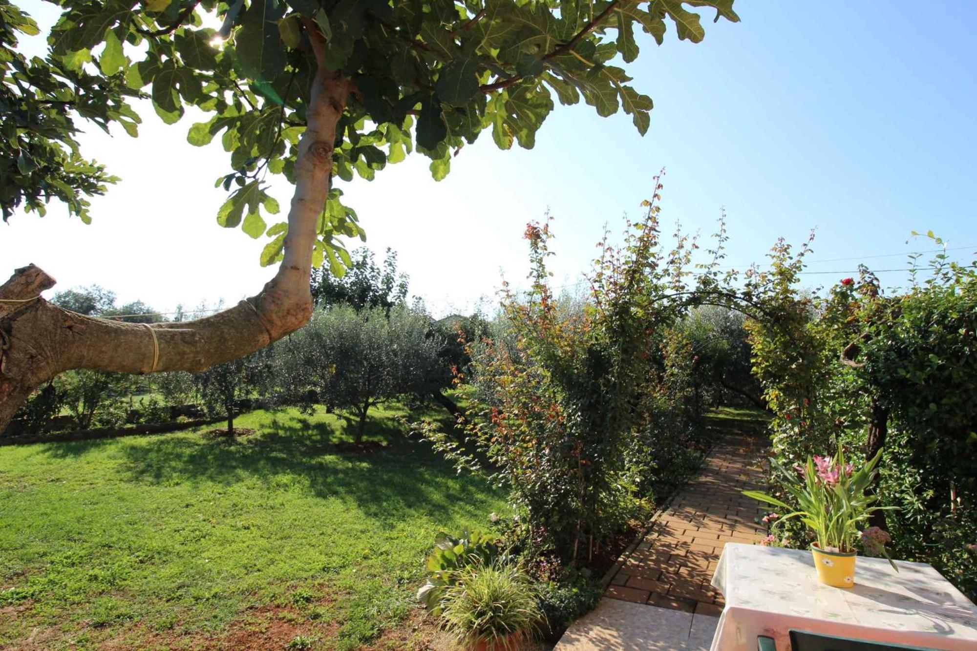 Karpinjan Apartments In Novigrad - Istrien 46738 מראה חיצוני תמונה